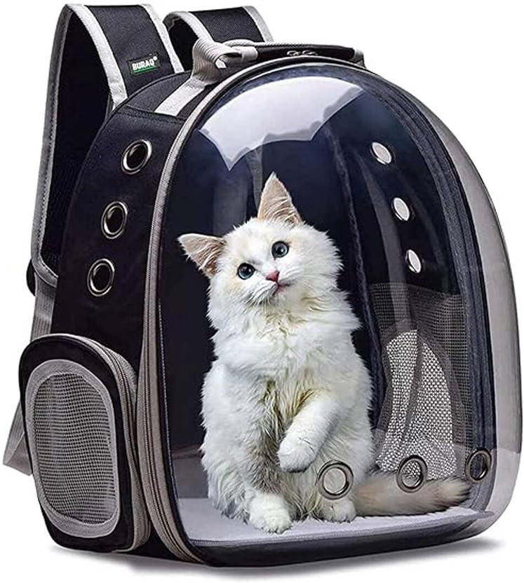 MS MODSTYLE Black Backpack Pet Carrier(Suitable For Bird, Cat, Dog, Rabbit)