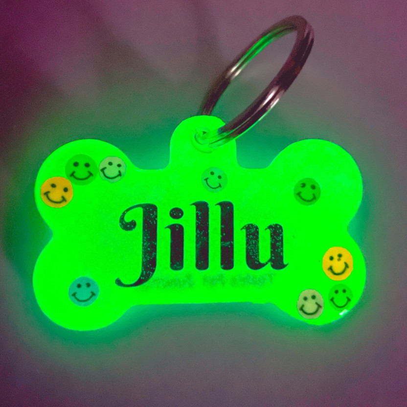 Tashis Pet Junction Tashis Pet Junction Personalized Glow in the Dark Custom Pet ID Name Tags Info Engraved Dog & Cat Collar Charm(Green, Bone)