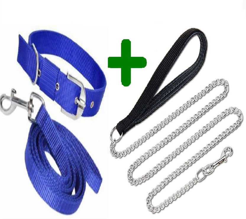 SENAPATI Dog Collar & Chain(Medium, Blue)