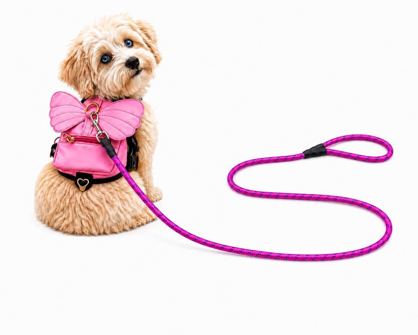 Tobby&yuki BFLY-DOG HARNESS Dog & Cat Collar & Leash(Large, Pink)