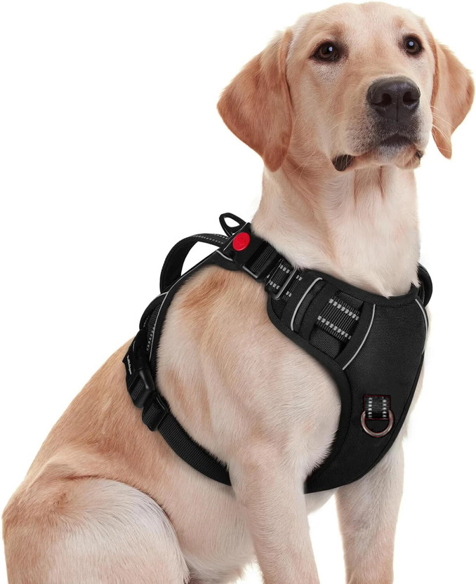 Pawxie Dog Chest Belt Harness | Comfortable & Adjustable Size For 14-23 Kg Pet Dog Standard Harness(Medium, BLACK)