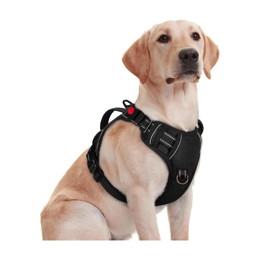 Pawxie Dog Chest Belt Harness | Comfortable & Adjustable Size For 35+ Kg Pet Dog Standard Harness(Extra Large, BLACK)