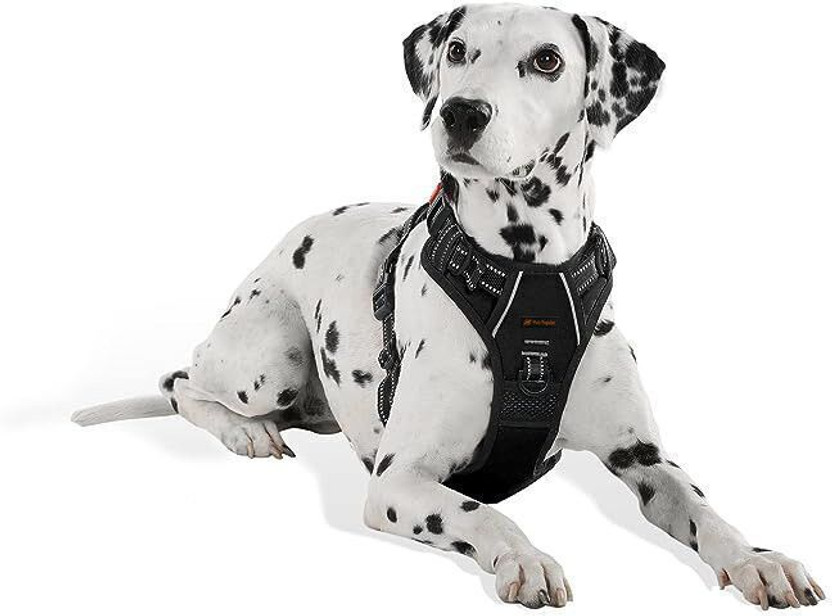 THE PETS POPULAR Black Ajustable Double Sided Pro Harness Body Belt with Rope Dog Standard Harness(Large, Black)