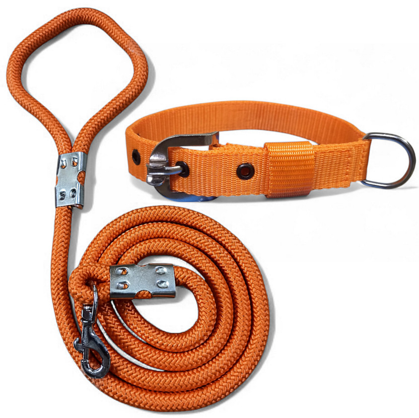 PETHUB MART Dog Belts Set – Heavy Quality 12mm Dog Leash with 1 Inch Adjustable Dog Collar Dog & Cat Collar & Leash(Large, Orange)