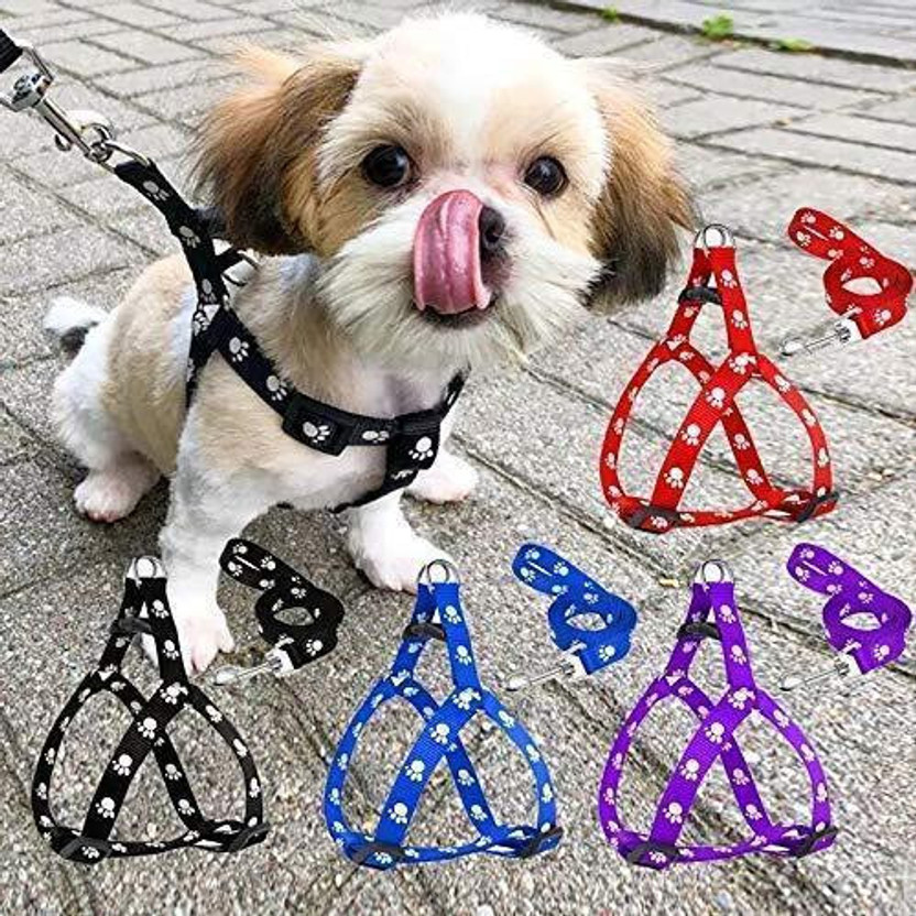 PetJoy 1 pcs 15 mm Paw Print Leash and Harness Set for Small,Medium Puppy Dog & Cat Harness & Leash(Medium, MultiColor)