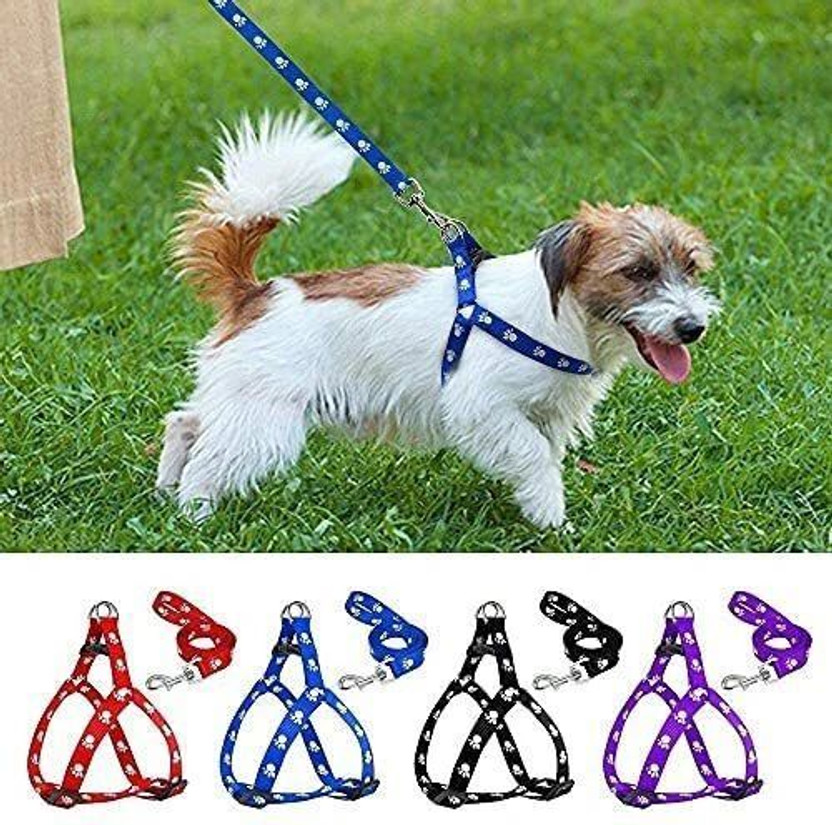 MIXUP MIXUP Nylon Puppy Harness for Small & Medium Dogs Colour May Vary (0.75-inch) Dog Buckle Harness(Small, MULTICOLOR) - Flipkart Deal