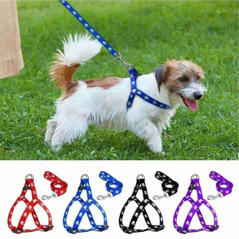 chullbull pet products 1 pcs 16 mm Paw Print Leash and Harness Set for Small ,Medium Puppy Dog & Cat Harness & Leash(Small, MULTICOLOUR)