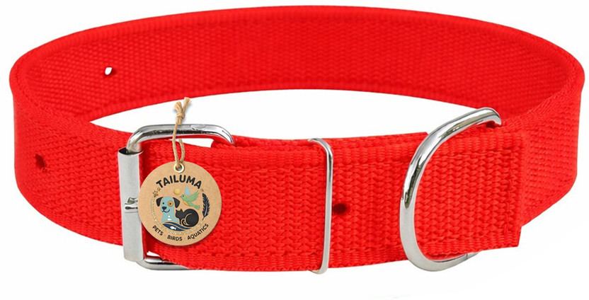 Tailuma Adjustable Nylon Dog Collar | Durable & Comfortable Neck Belt 1.25 Inch Dog Everyday Collar(Large, Red)