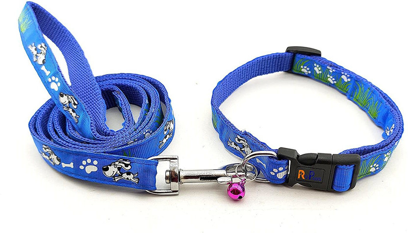 Rvpaws Puppy Adjustable Nylon Collar with Leash for Small and Medium Dogs - 15MM Dog Collar & Leash(Small, Blue)