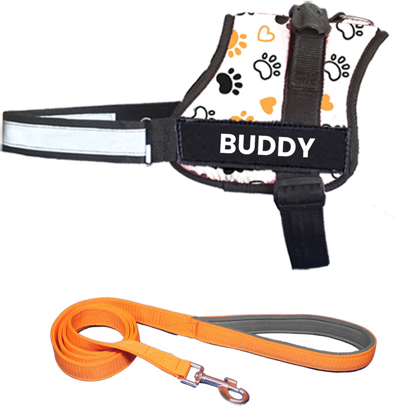 ALCAZAR Dog Harness & Leash(Extra Small, WHITE-PAW)