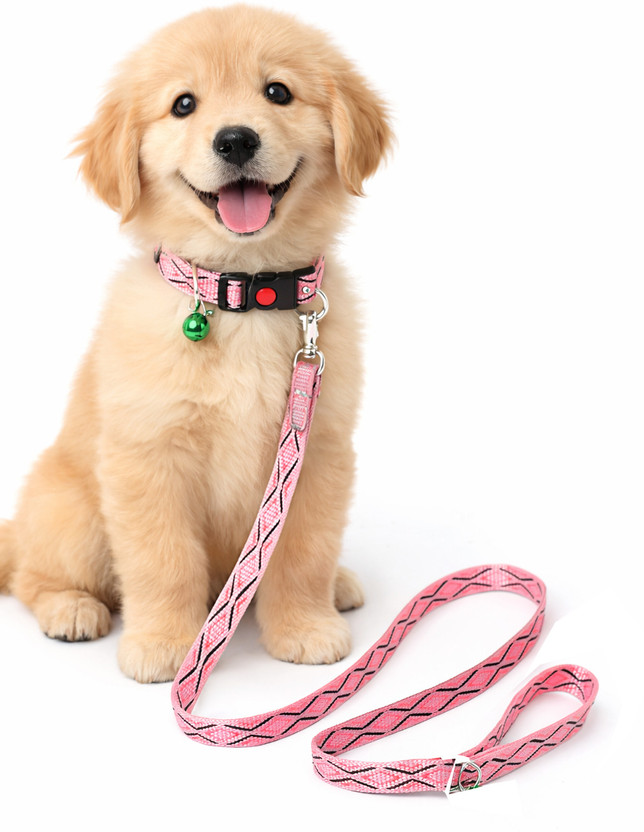 Rvpaws Dog Printed Collar and Leash Set 15 MM- Adjustable Nylon Collar with Bell Dog Collar & Leash(Medium, multi-color)