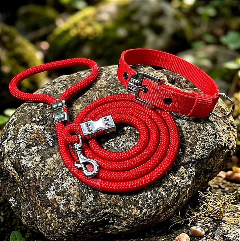 PETHUB MART Dog Belts Set – Heavy Quality 12mm Dog Leash with 1 Inch Adjustable Dog Collar Dog & Cat Collar & Leash(Medium, Red)