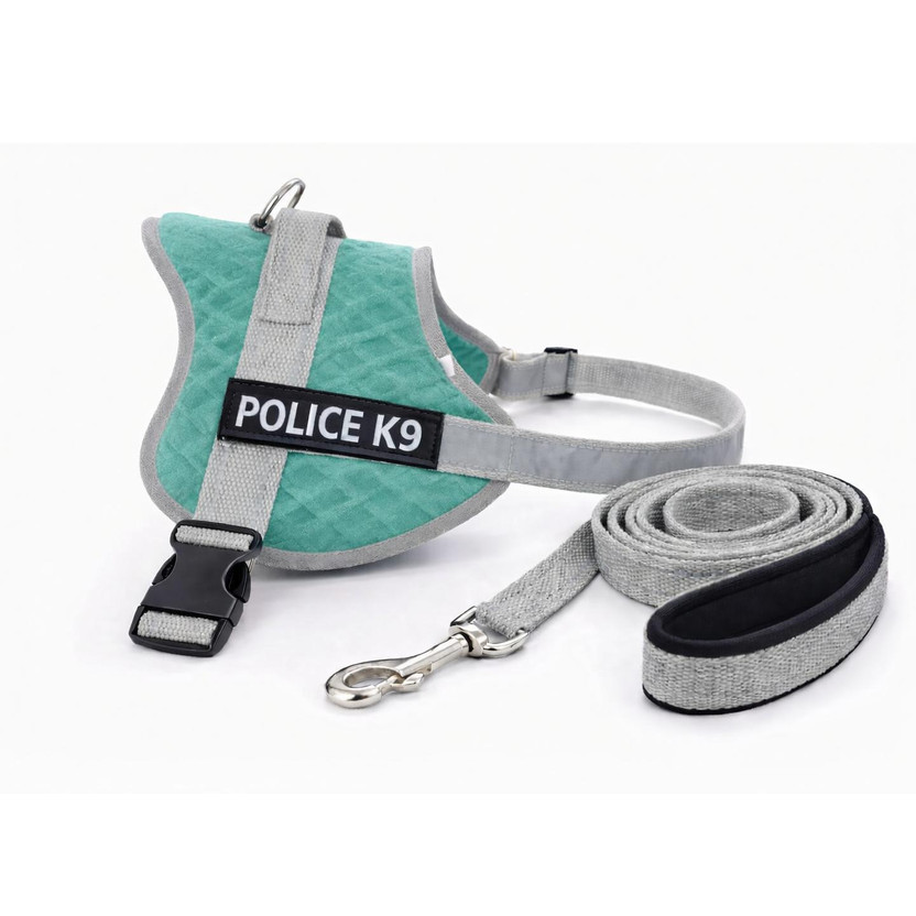 PETSZOW PETSZOW Velvet No Pull Harness Dog Harness & Leash(Large, Sea Green) - Flipkart Deal