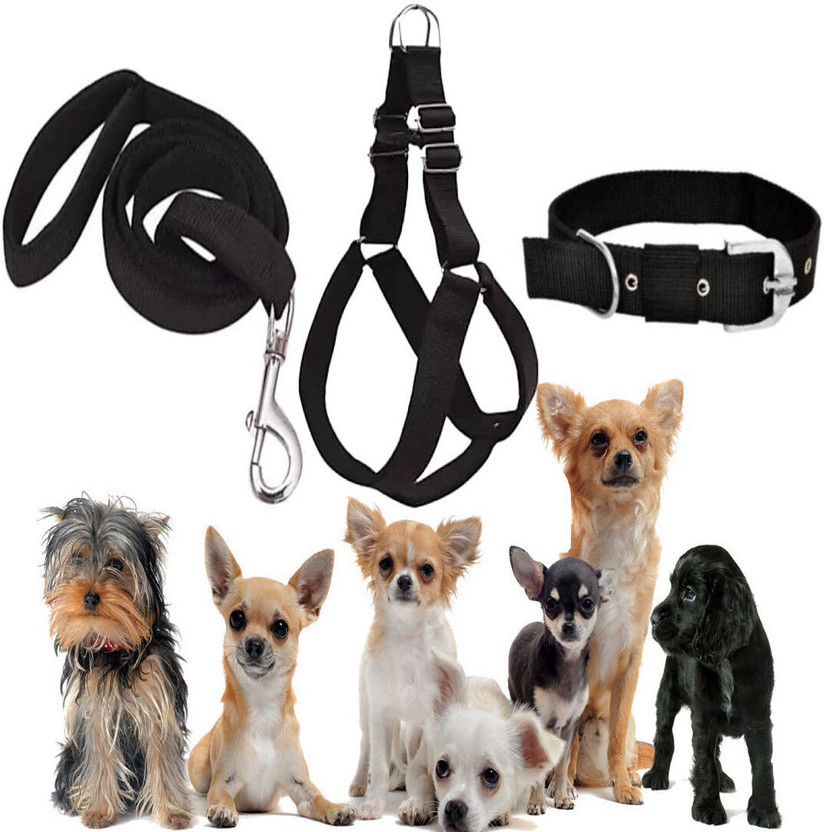 SENAPATI X-Small Puppy Harness Adjustable Belt, Collar Combo Black (0-3 Month) Dog Harness & Leash(Extra Small, BLACK)