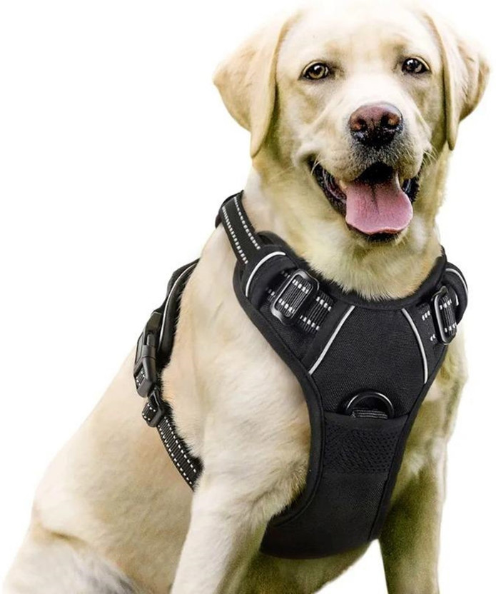 Subaka Subaka Dog Double Body Harness For All Breed Dog Sizes Dog Buckle Harness(Medium, Black)