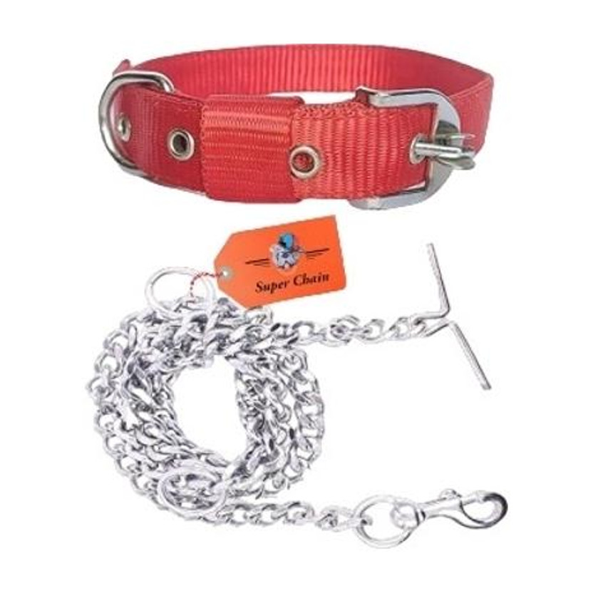 SUPER CHAIN Dog Belt Combo Nylon Collar with Heavy Chain Leash Dog Collar & Chain(Small, Red)