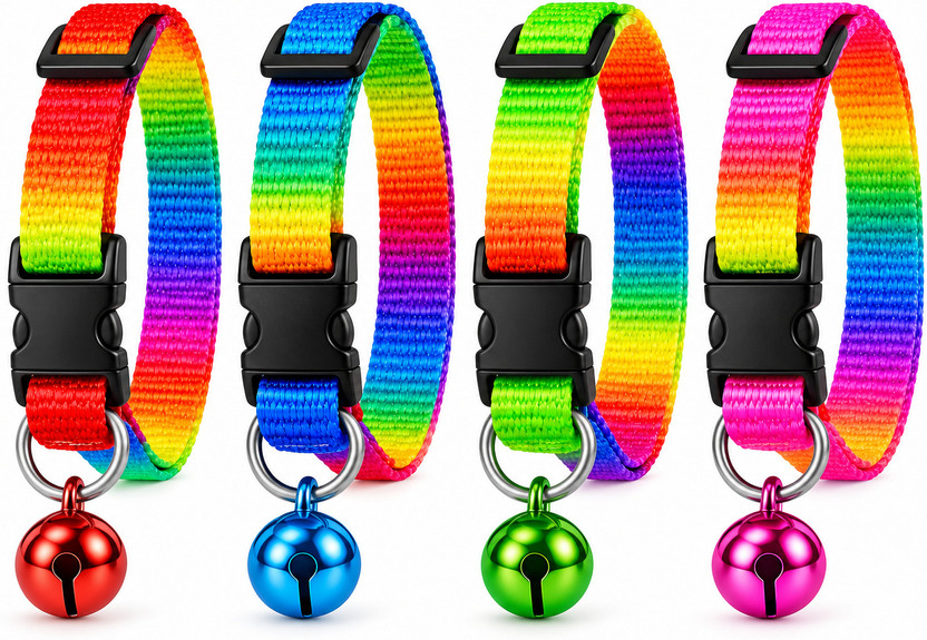 DogTrust DogTrust Dog & Cat Everyday Collar(Small, 1) - Flipkart Deal