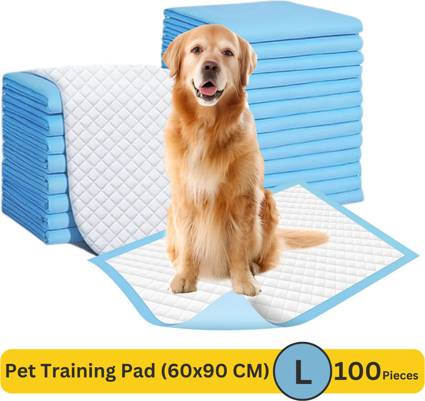 PH TIDY Pet Training Pads with Quick Drying Surface and Absorbent Core | (60x90 CM) Disposable Dog Diapers(Pack of 100 L)