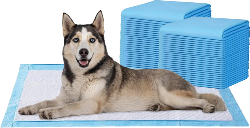 Amorite 60x90 cm Pee Pads-Potty Training mats for pets Disposable Dog & Cat Diapers(Pack of 50 XL)