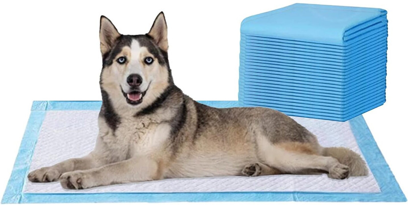 Amorite 60x90 cm Pee Pads-Potty Training mats for pets Disposable Dog & Cat Diapers(Pack of 25 XL)