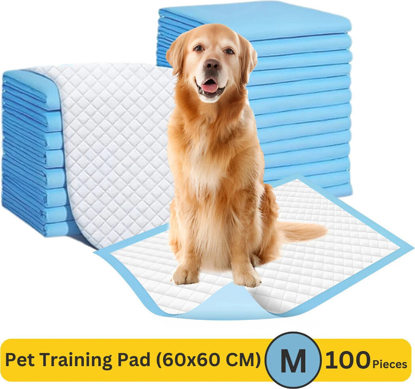 PH TIDY Pet Training Pads with Quick Drying Surface and Absorbent Core | (60x60 CM) Disposable Dog Diapers(Pack of 100 M)