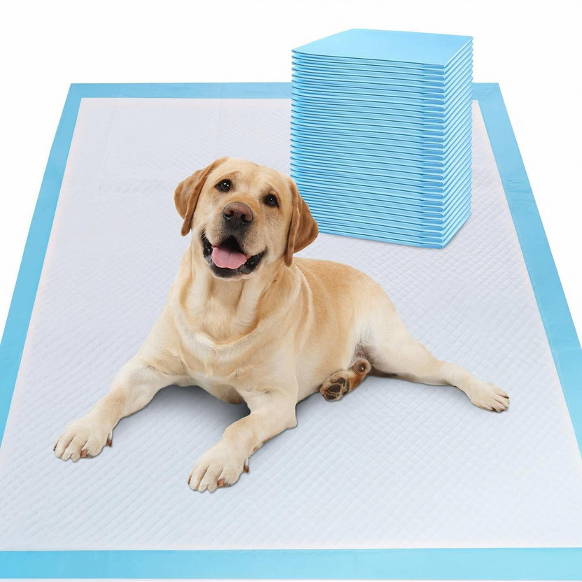VLASCA VLASCA Training Pad for Dogs,Cats,Puppies,Urine mats,Poop Pee Pads 20 Pcs(60 X 90 cm) Disposable Dog & Cat Diapers(Pack of 1 L) - Flipkart Deal
