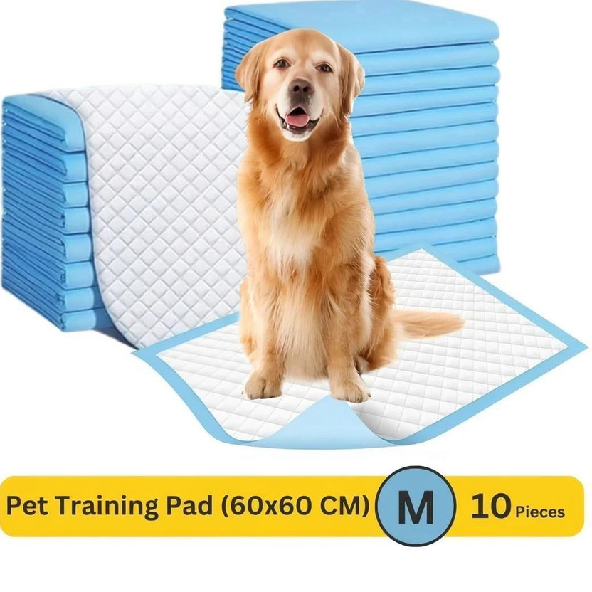 PH PH TIDY Pet Training Pads with Quick Drying Surface and Absorbent Core | (60x60 CM) Disposable Dog Diapers(Pack of 1 M) - Flipkart Deal