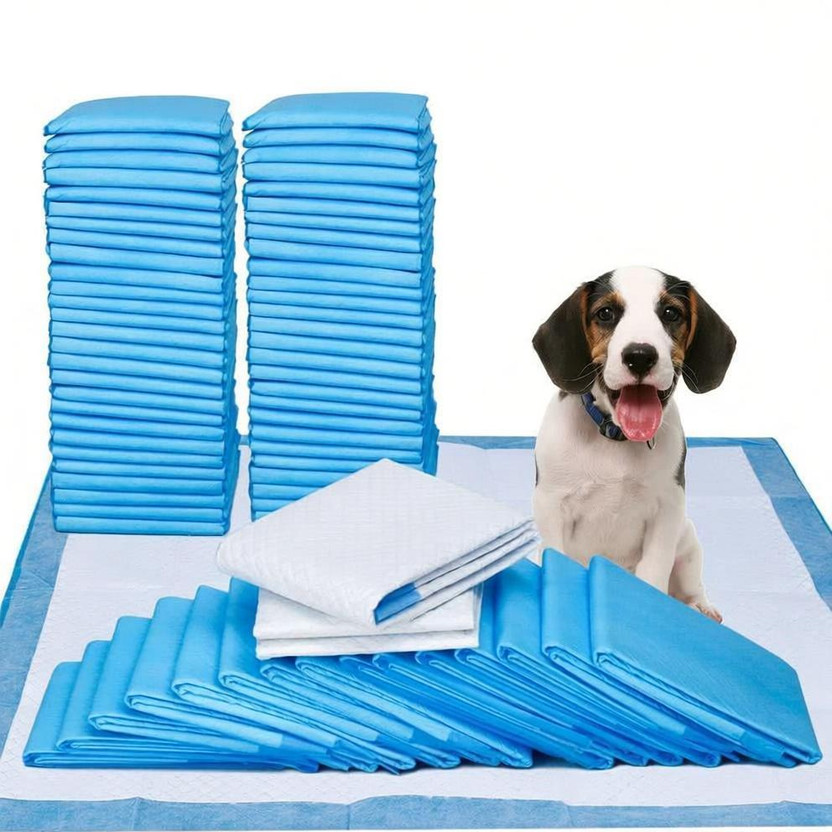 DK DK Beauty Dog Training Pads/Size: XL/60 x 90 cm/10 Count/Training Pee and Potty Pads with Quick Drying Surface and Absorbent Core/Suitable for Small/Large Breed Puppies Disposable Dog Diapers Disposable Dog Diapers(Pack of 10 XXL) - Flipkart Deal