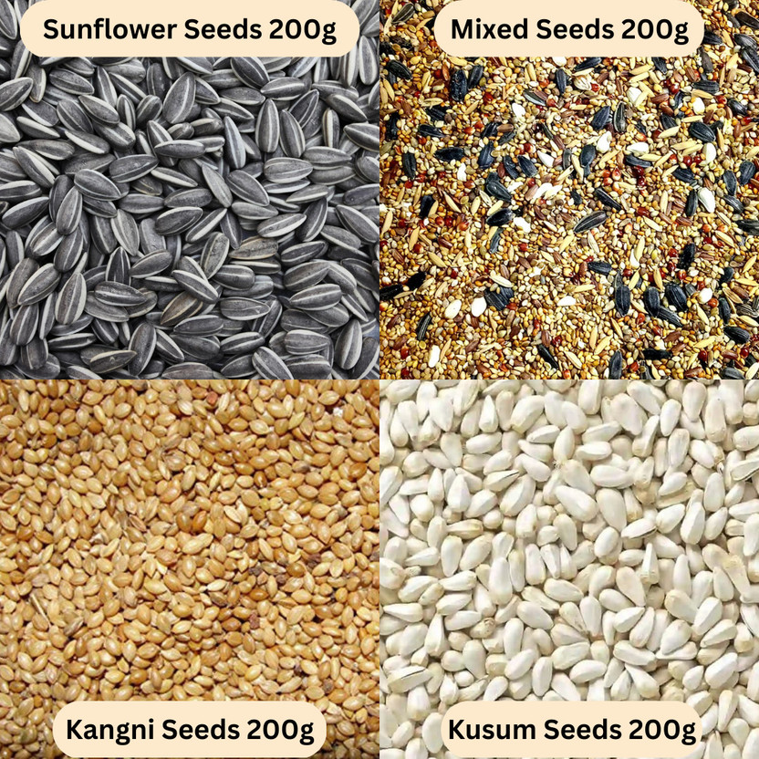 Pripton Pripton 4 in 1 Bird Food Combo, Sunflower Seed, Mixed Seed, Kusum seeds, Kangni Seed Nuts 0.8 kg Dry Adult, Young, Senior, New Born Bird Food - Flipkart Deal