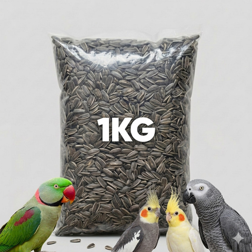 Homespire Homespire Sunflower Seeds For Parrot | High Protein Bird Feed 1 kg Dry Adult Bird Food - Flipkart Deal