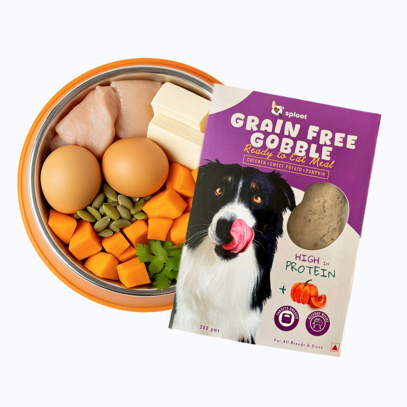sploot Grain Free Gobble Dogs Wet Food For Adult & Puppy Dog, All Life Stage, Chicken, Vegetable 0.2 kg Wet Adult, Young Dog Food