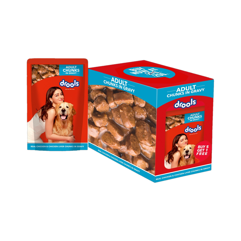 Drools Chunks in Gravy Chicken 0.9 kg (6x0.15 kg) Wet Adult Dog Food