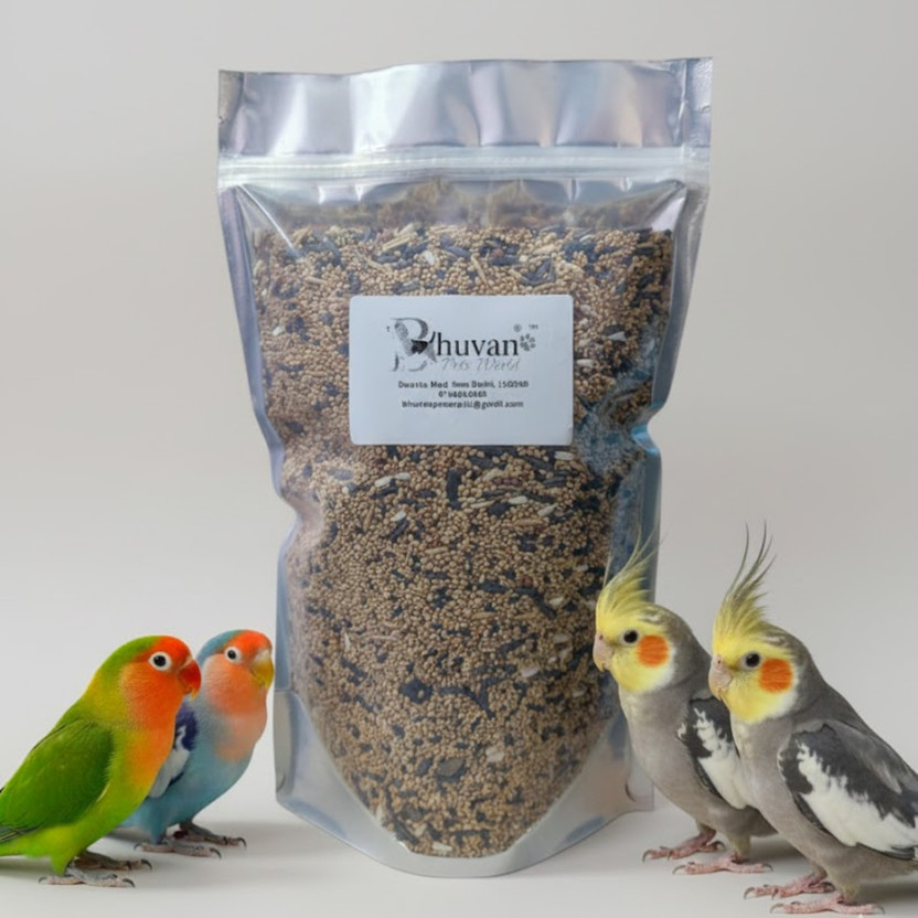 Bhuvan Pets World Mix Seeds PREMIUM 11+ Seeds for Love Birds, Budgies, Cockatiel etc Nuts 1 kg Dry All Life Stages Bird Food