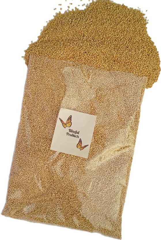 Blissful Products Bird Food Yellow Millet Kangni 3 KG. 3 kg Dry Adult Bird Food