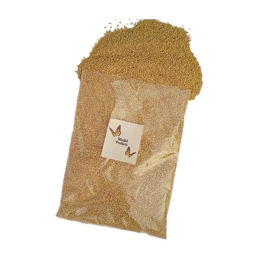 Blissful Blissful Products Yellow Millet Kangni Bird Food 1 Kg for all kind of Birds| 1 kg Dry Adult Bird Food - Flipkart Deal