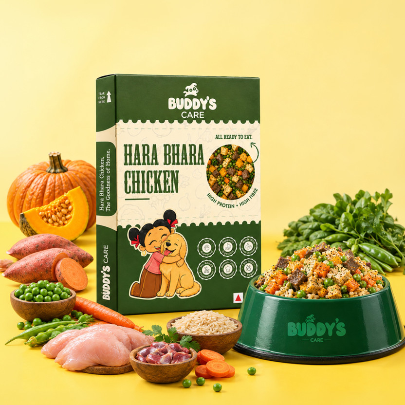 BUDDYS CARE High Protein & High Fibre | Ready to Eat Wet Dog Food | Chicken, Rice 0.6 kg (6x0.1 kg) Dry All Life Stages Dog Food