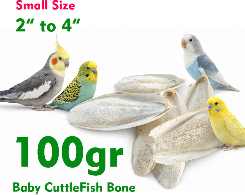 WasiPawNutri Natural Cuttlefish Bone for Birds 2 to 4 Inch Small Size, High Calcium, Fish 0.1 kg (17x0.01 kg) Dry All Life Stages Bird Food