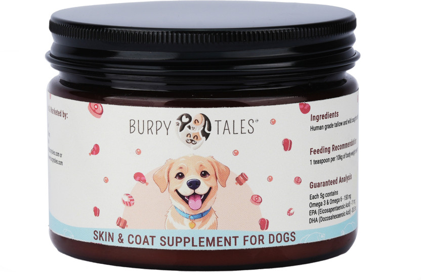 Burpy Tales Skin and Coat Supplement for Dogs with Sardine Oil, Omega 3 6, 200gm Pet Health Supplements(200 g)