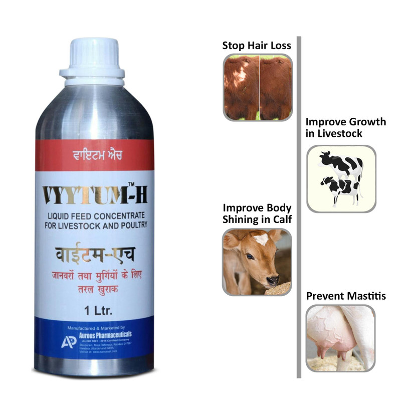 VYYTUM H Liquid Feed Concentrate Pet Health Supplements(1 L)