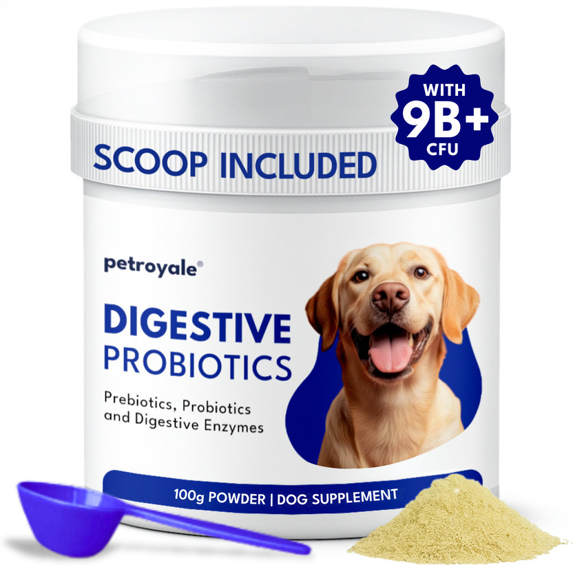 Petroyale Digestive Probiotics Supplement Improves Gut Health & Indigestion Pet Health Supplements(100 g)