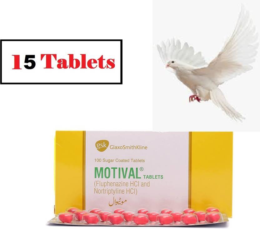 madyaan New Motival Tablets For Pigeon 15 tablets Pet Health