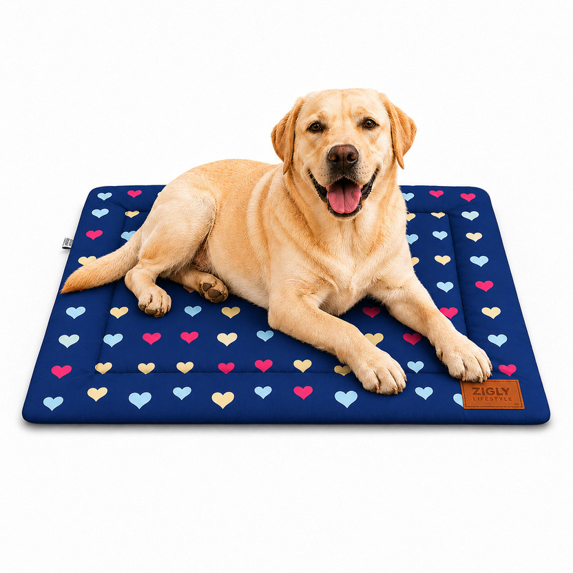 ZIGLY Lifestyle Happy Hearts Pet Mat for Dogs & Cats | Soft Padded Pet Mat-Medium - Cat, Dog Pet Mat