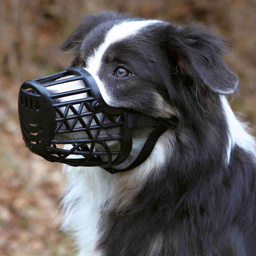 PetJoy Adjustable Strap Muzzle – Extra Large Extra Large Strips Dog Muzzle(Black)