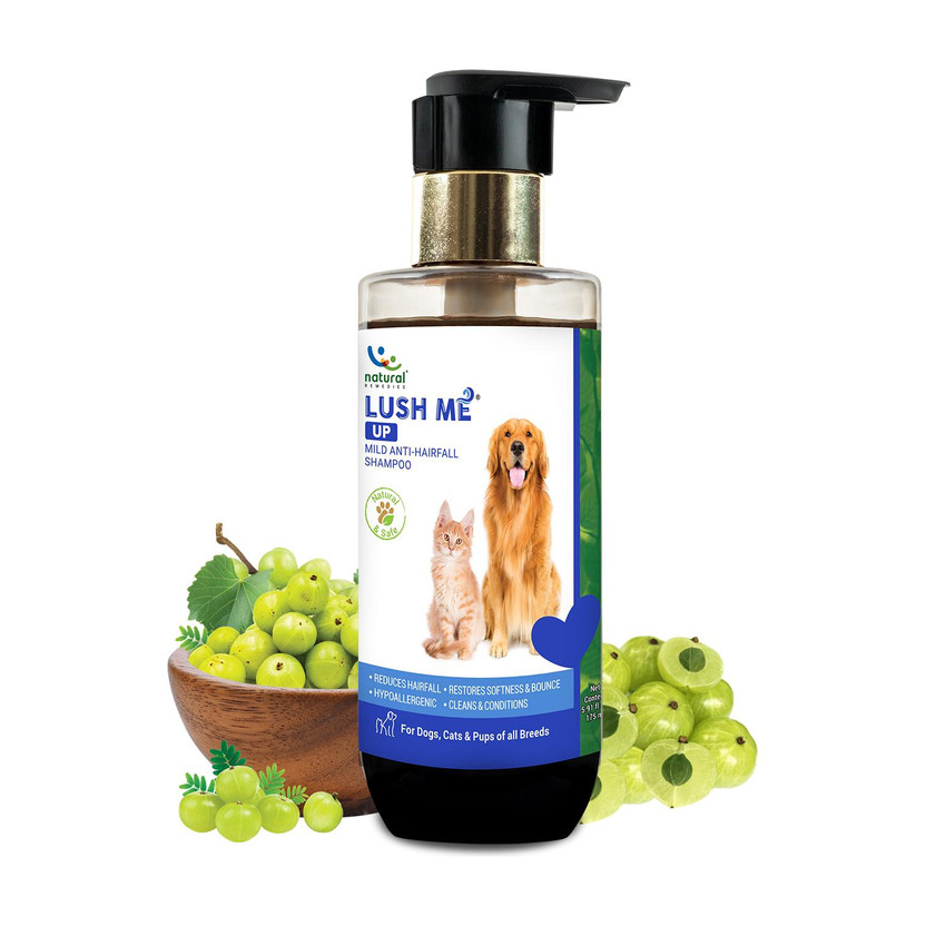 Natural Remedies Lush Me Up Mild Anti-Hairfall Shampoo for Dogs, Cats & Pups 175 ml Anti-dandruff Fresh Dog Shampoo(175 ml)