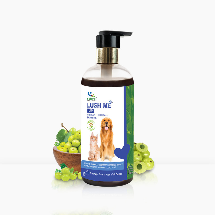 Natural Remedies Lush Me Up Mild Anti-Hairfall Shampoo for Dogs, Cats & Pups of All Breeds Hypoallergenic Mild fragrance Dog Shampoo(350 ml)