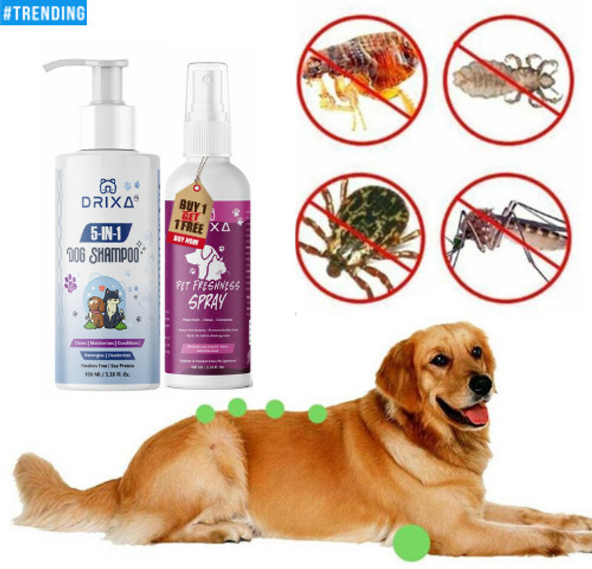 Drixa Allergy Relief, Conditioning, Flea and Tick, Itch Relief NATURAL Cat, Dog Shampoo(200 ml)