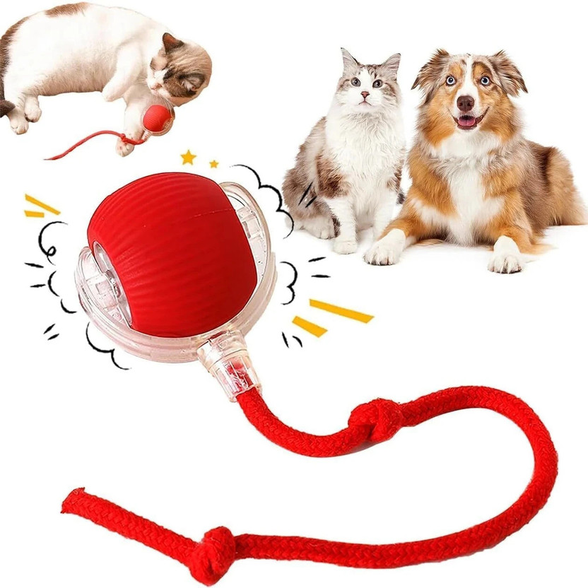 decorvaiz Electric Automatic Rolling Moving Rechargeable Self Play Toy Silicone Ball For Cat