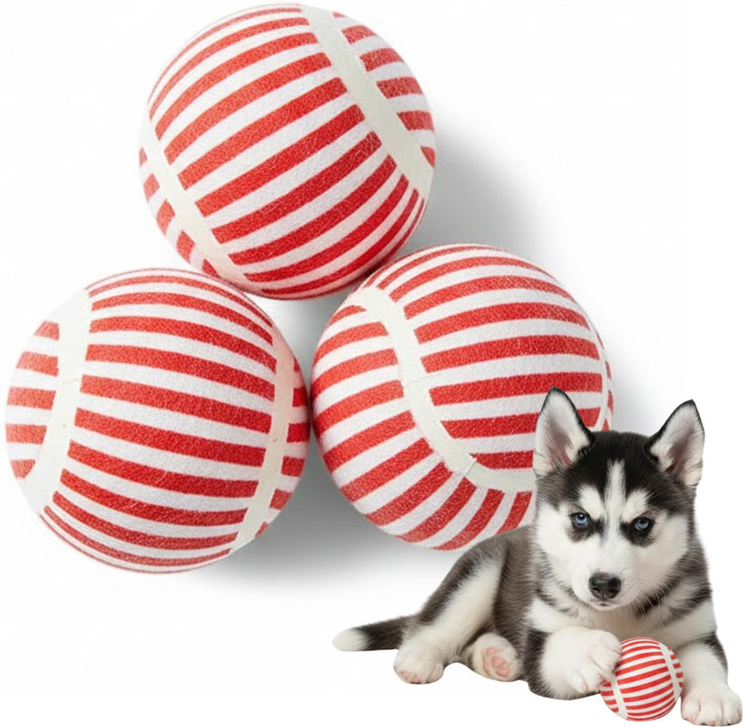Emily Pets Dog Balls Pack of 3 | Squeaky Fetch Toy for Dogs Rubber Ball, Fetch Toy, Squeaky Toy, Chew Toy For Dog