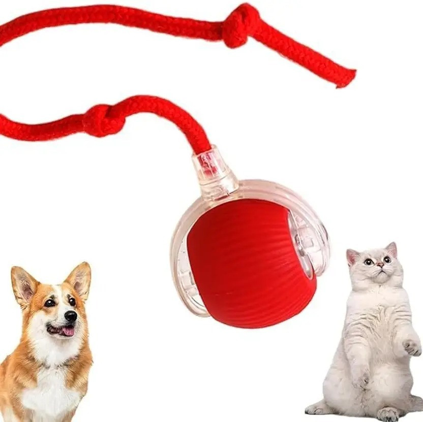 Taily Taily Trends decorvaiz Self-Rolling Smart Pet Toy Silicone, Plastic Ball, Training Aid For Dog & Cat - Flipkart Deal