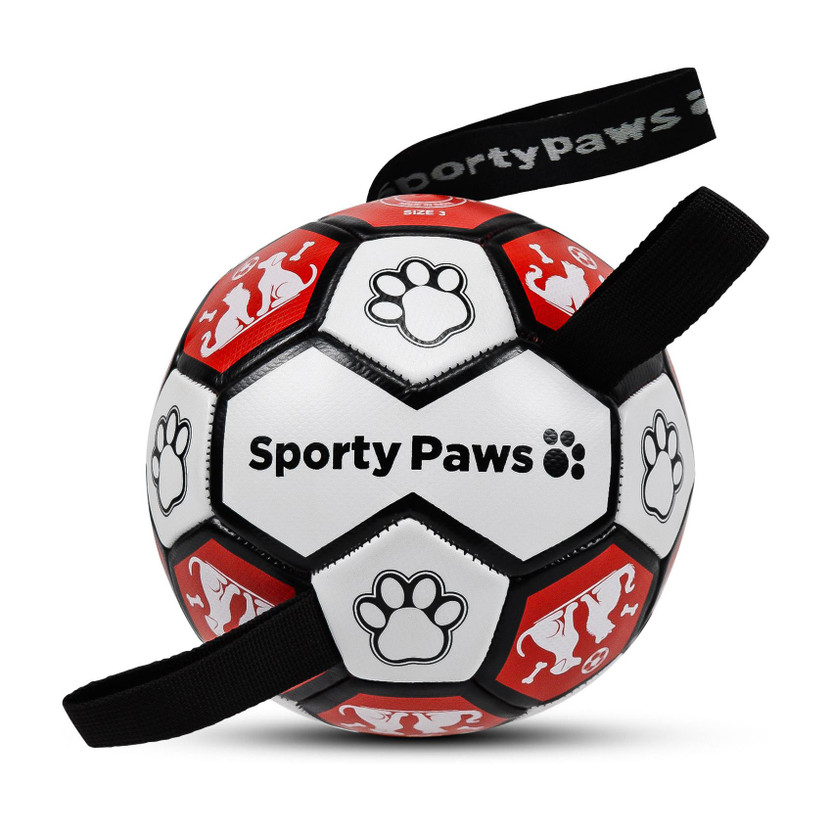 Sporty Sporty Paws Sporty Paws Fun & Play Petball Size 3, Tug & Fetch Training Dog Ball, Rubber Ball For Dog - Flipkart Deal